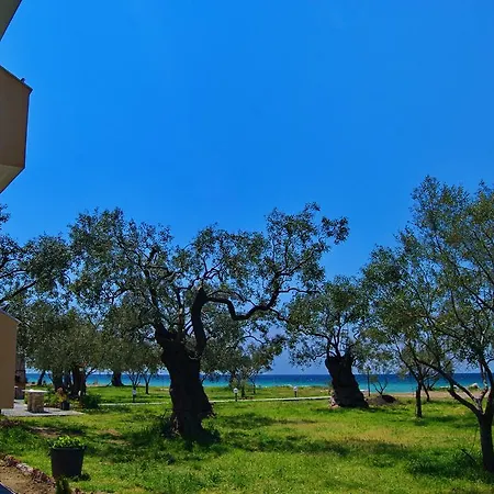 Ktima Panaretos Sea And Olive Πανσιόν *