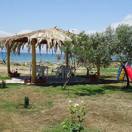 招待所 Ktima Panaretos Sea And Olive *