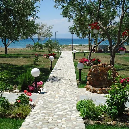 Ktima Panaretos Sea And Olive