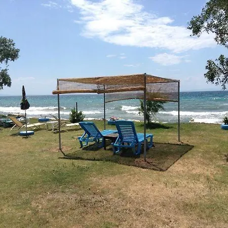 Πανσιόν Ktima Panaretos Sea And Olive Πρίνος