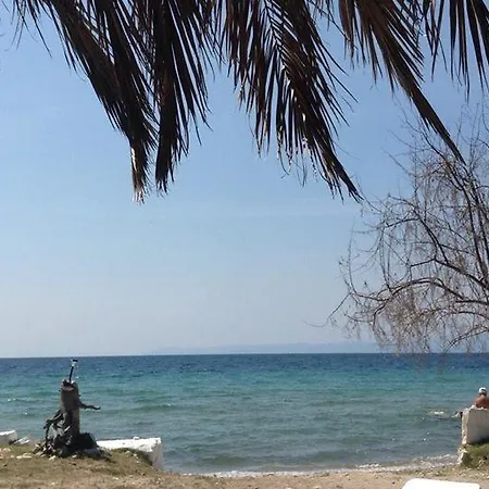 Ktima Panaretos Sea And Olive Πρίνος
