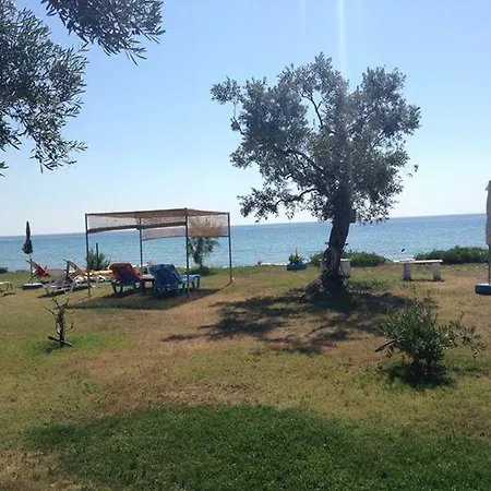 招待所 Ktima Panaretos Sea And Olive *
