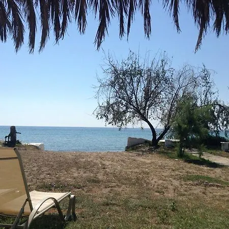 Ktima Panaretos Sea And Olive * Πρίνος