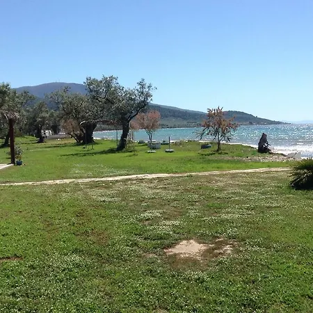 Ktima Panaretos Sea And Olive
