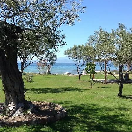 Ktima Panaretos Sea And Olive Πανσιόν *