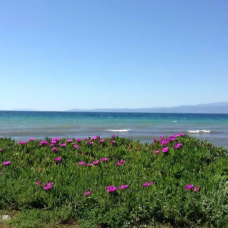 招待所 Ktima Panaretos Sea And Olive Prínos