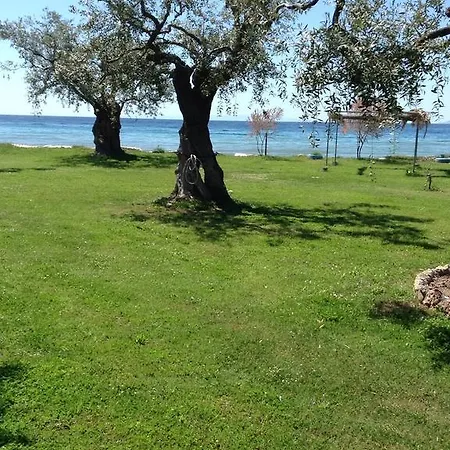 Ktima Panaretos Sea And Olive 招待所 Prínos