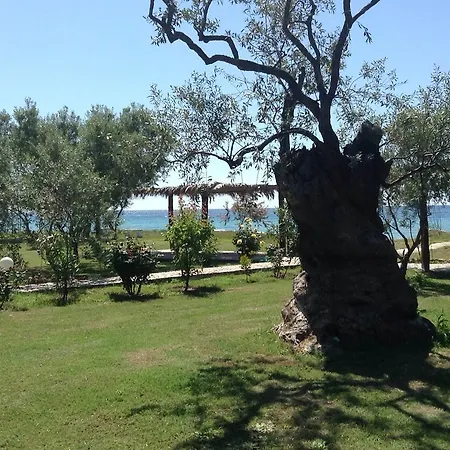Ktima Panaretos Sea And Olive