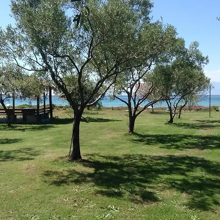 Ktima Panaretos Sea And Olive 招待所 *