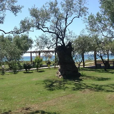 Ktima Panaretos Sea And Olive * Πρίνος