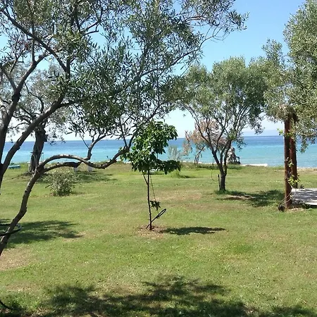招待所 Ktima Panaretos Sea And Olive *