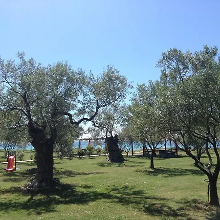 Ktima Panaretos Sea And Olive *