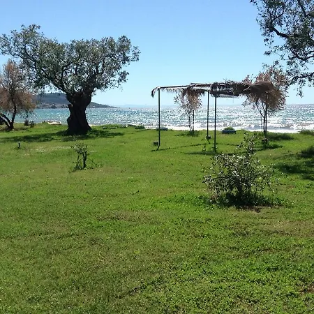 招待所 Ktima Panaretos Sea And Olive *