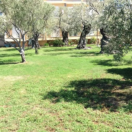 Ktima Panaretos Sea And Olive *