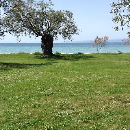 招待所 Ktima Panaretos Sea And Olive Prínos