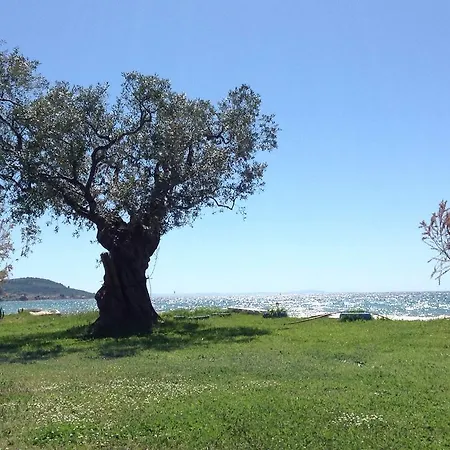 Ktima Panaretos Sea And Olive * Πρίνος
