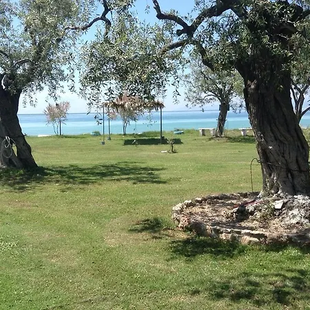 招待所 Ktima Panaretos Sea And Olive