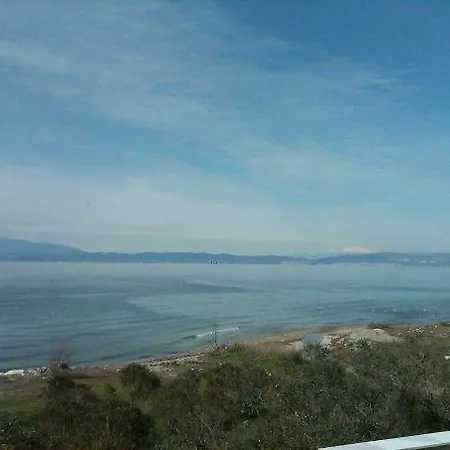 Ktima Panaretos Sea And Olive