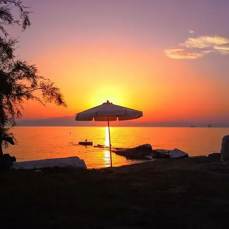 Πανσιόν Ktima Panaretos Sea And Olive Πρίνος