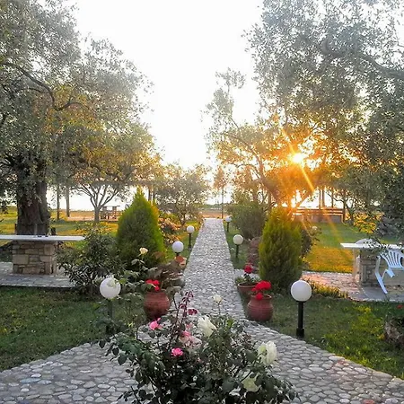 Πανσιόν Ktima Panaretos Sea And Olive Πρίνος