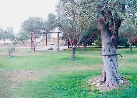 Ktima Panaretos Sea And Olive * Πρίνος