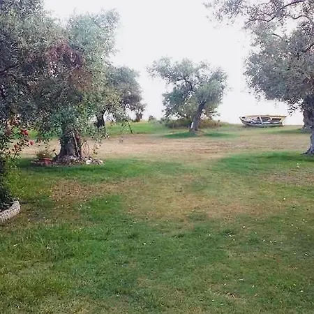 Ktima Panaretos Sea And Olive Πρίνος