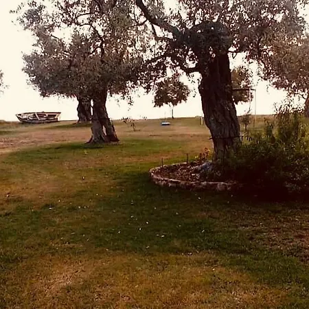 Ktima Panaretos Sea And Olive * Πρίνος