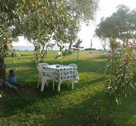 Ktima Panaretos Sea And Olive 招待所 *